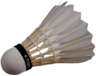 Badminton Birdie