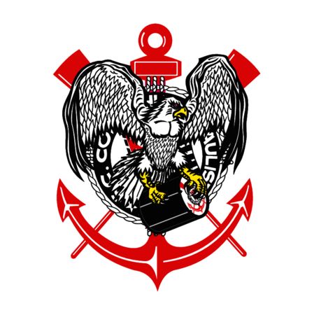 Gaviхes da Fiel Corinthias