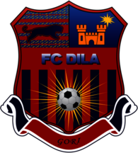 FC Dila Gori