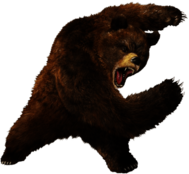 Angry Fighting Bear
