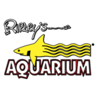 Ripley's Aquairum