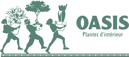 Oasis Plantes Interieur