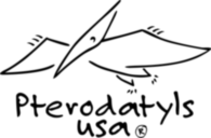 Pterodatyls USA