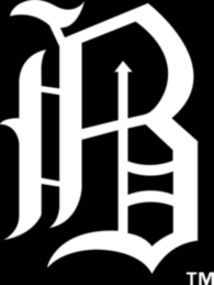 Birmingham Barons 58261