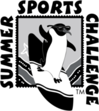 Summer Sports Challenge