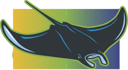 Tampa Bay Devil Rays