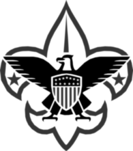 Boy Scouts 1