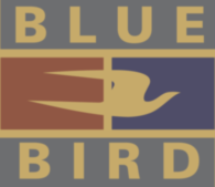 Blue Bird 
