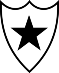 Sociedade Esportiva Botafogo de Viamao RS