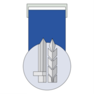 Medal For Distinguished Service