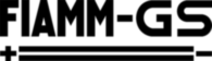 Fiamm Gs