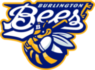 Burlington Bees