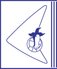 Atletico Clube Lansul De Esteio Rs