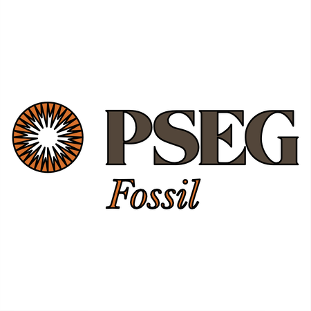 Pseg Fossil