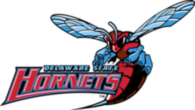 Delaware State Hornets