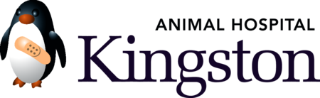 Kingston Animal Hospital