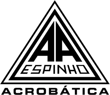 Associação Académica de Espinho Acrobática
