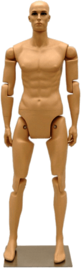 Male Mannequin