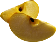 Apple Wedge Slice Yellow