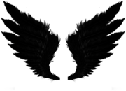 Black Angel Wings