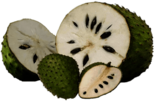 Fresh Soursop