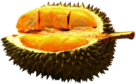 Half Durian Fruit