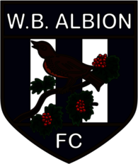 FC West Bromwich Albion (60's - 70's logo)