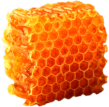 Honeycomb