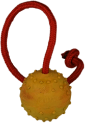 Dog Training Ball