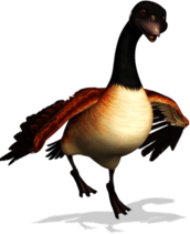 Franklin and Friends Goose