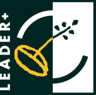 Leader Plus