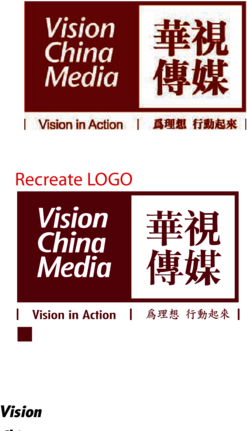 VISION CHINA MEDIA