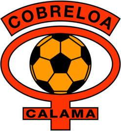 Club de Deportes Cobreloa de Calama