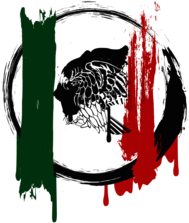 Bandera Mexicana Grunge