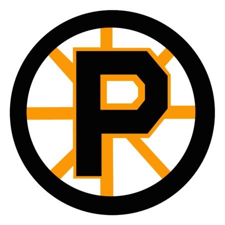 Providence Bruins