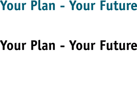 NDP Your Plan - Your Future