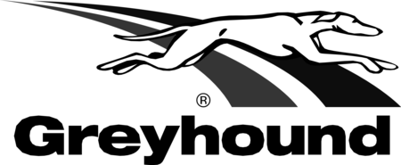 Greyhound