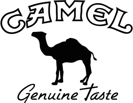 Camel
