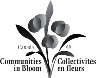 Communities in Bloom