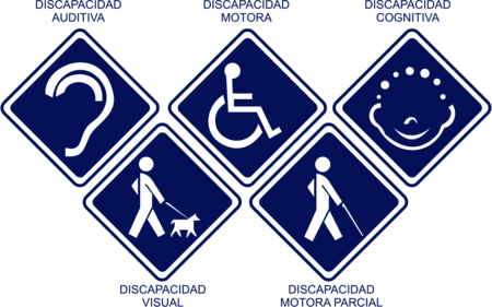 Discapacidad Motora
