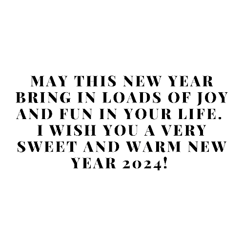 New Year 2024 Joy and Fun