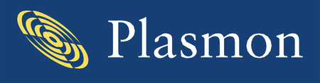 Plasmon