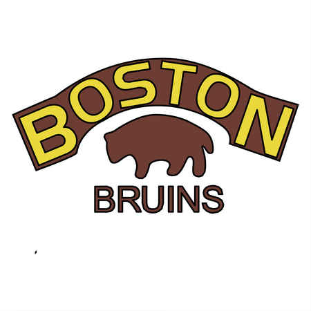 Boston Bruins