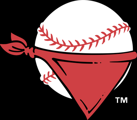 Quad City River Bandits