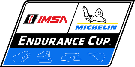 Michelin Endurance Cup