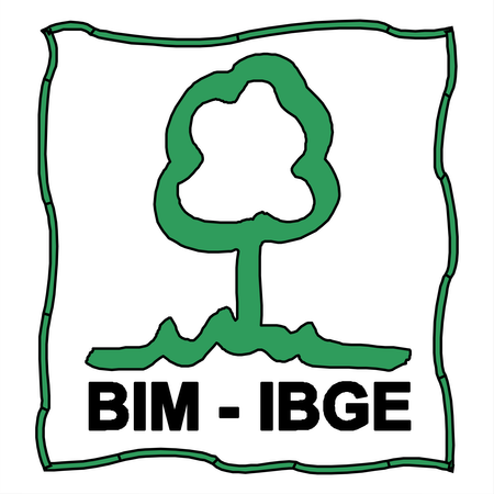 Bim Ibge