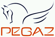 Pegaz