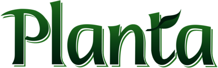 Planta