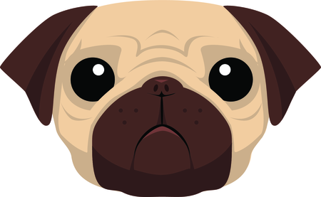 Pug