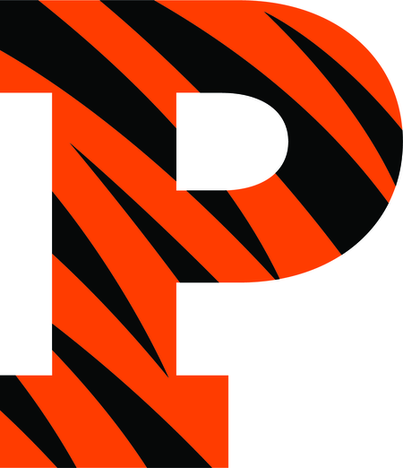 Princeton Tigers